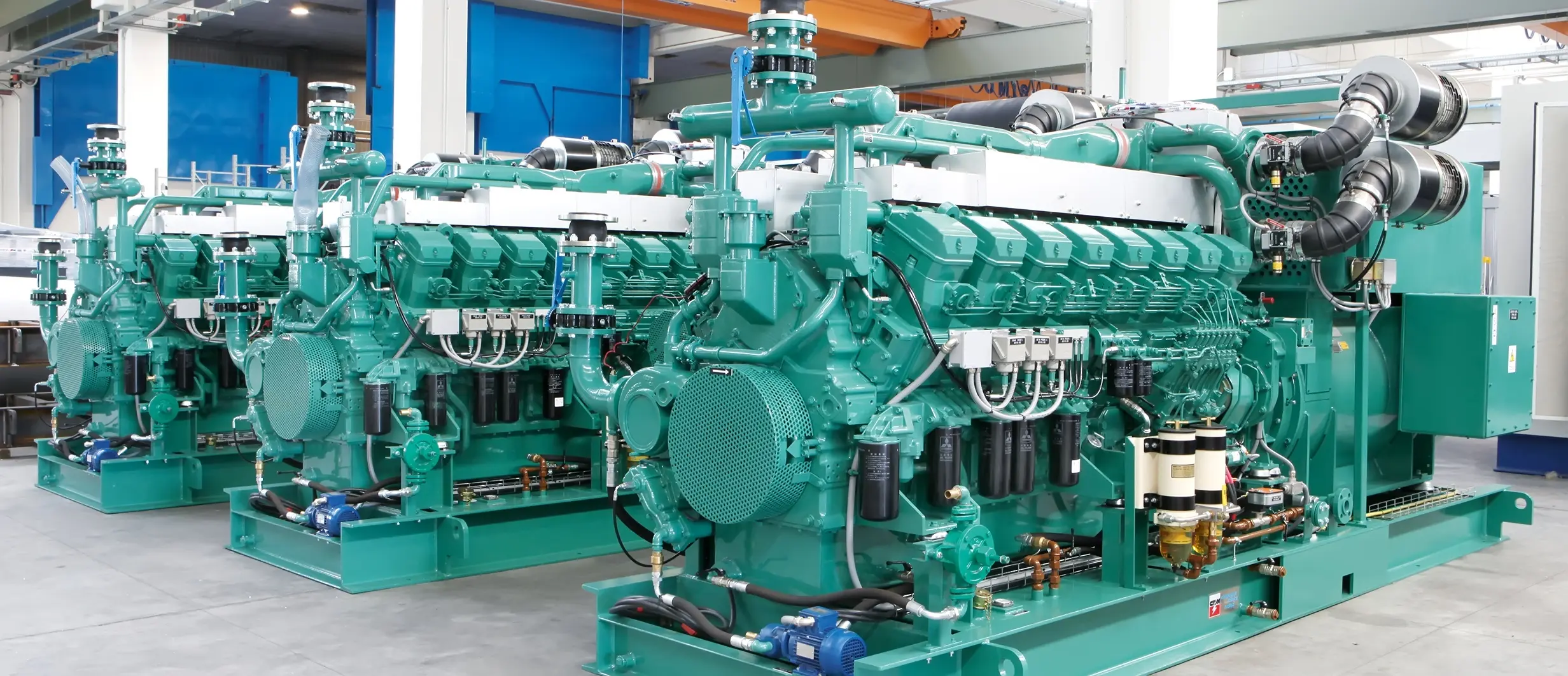 IMG_2034 6773 Litwin.jpg