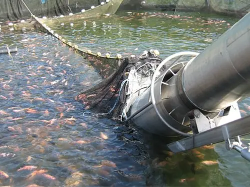 Итальянские дизельные электростанции общей мощностью 176 кВт для рыбного хозяйства в Мурманской области