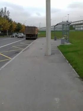 Ремонт проезжей части и организация остановок городского пассажирского транспорта в Пушкинском районе Санкт-Петербурга – фото 12 из 30