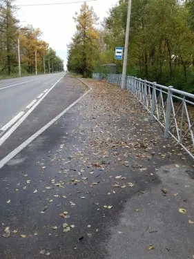 Ремонт проезжей части и организация остановок городского пассажирского транспорта в Пушкинском районе Санкт-Петербурга – фото 14 из 30