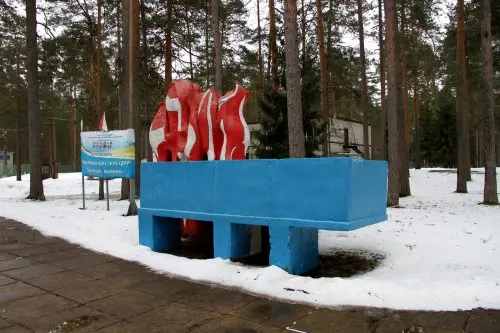 Поставка ДГУ в муниципальные районы Ленинградской области – фото 12 из 17