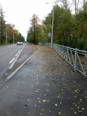 Ремонт проезжей части и организация остановок городского пассажирского транспорта в Пушкинском районе Санкт-Петербурга – фото 17 из 30
