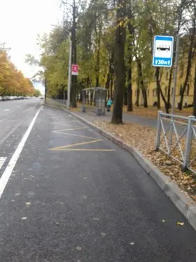 Ремонт проезжей части и организация остановок городского пассажирского транспорта в Пушкинском районе Санкт-Петербурга – фото 6 из 30