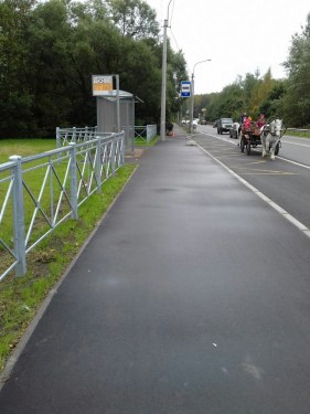 Ремонт проезжей части и организация остановок городского пассажирского транспорта в Пушкинском районе Санкт-Петербурга – фото 24 из 30