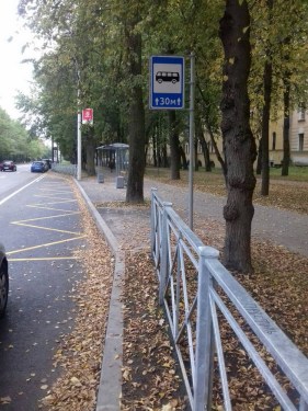 Ремонт проезжей части и организация остановок городского пассажирского транспорта в Пушкинском районе Санкт-Петербурга – фото 30 из 30