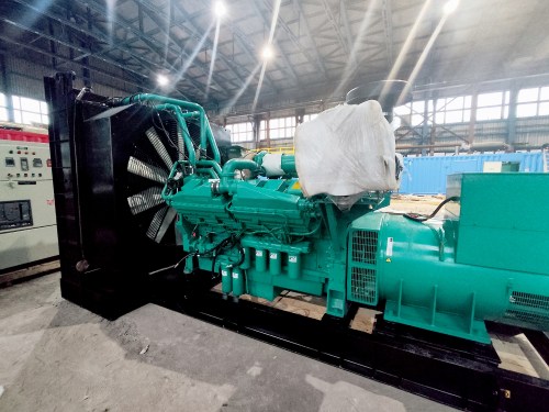 ДЭС 800 кВт и монтаж системы вентиляции для биобанка Центра Алмазова – фото 8 из 25